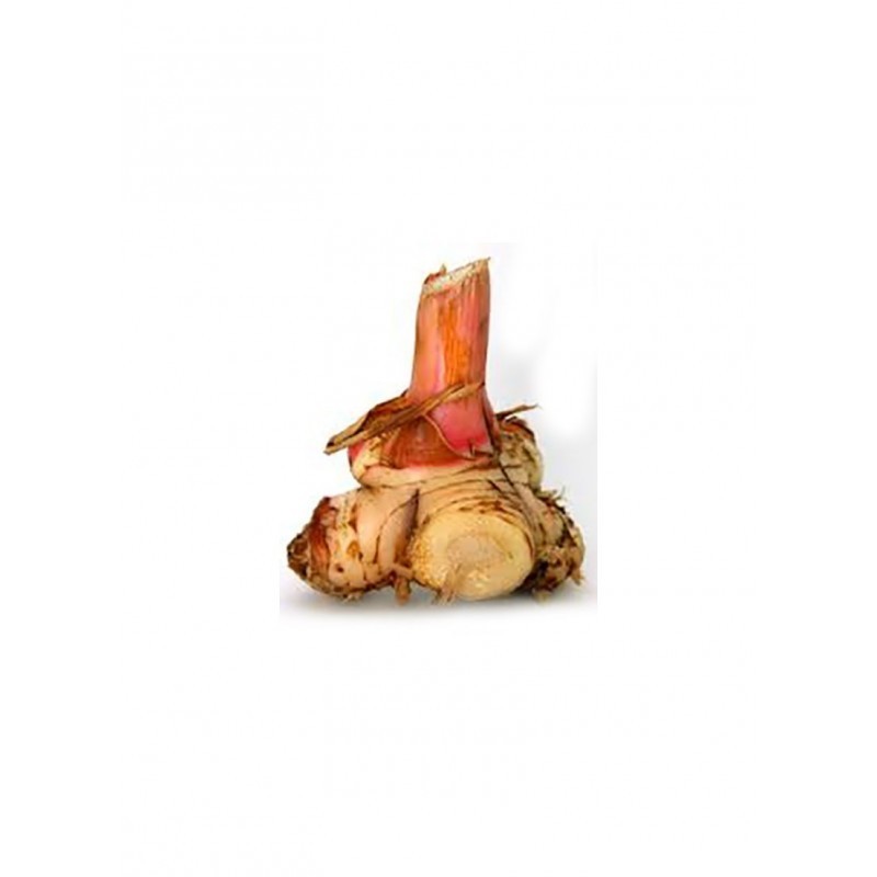 Buy Lengkuas Galangal Est 150g Suzyameer Online